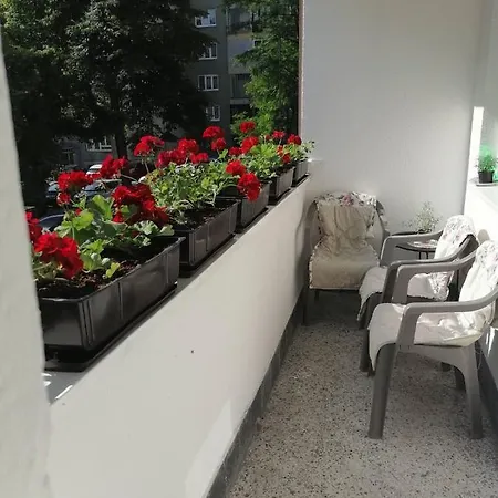 Flowers * Tuzla