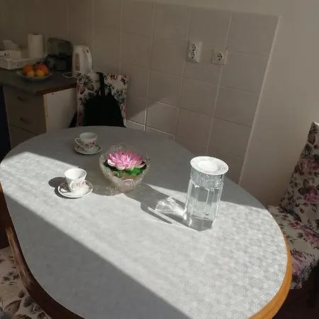 Flowers * Tuzla