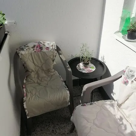 Apartment Flowers Tuzla