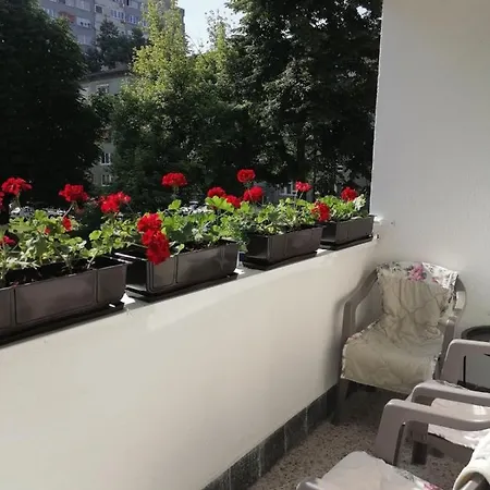 Flowers Tuzla