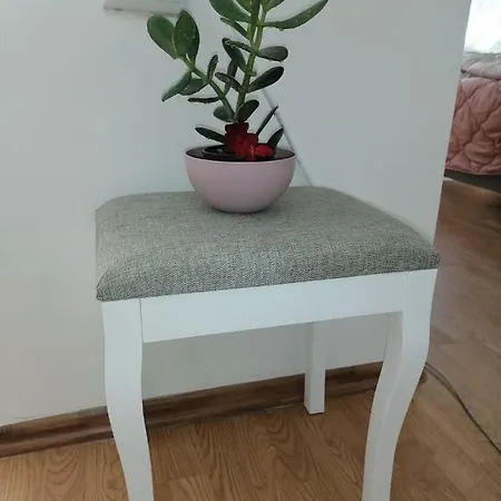 Flowers Apartment Tuzla