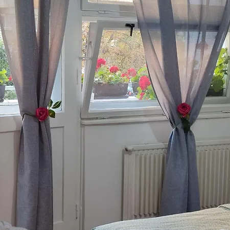 Flowers Apartment