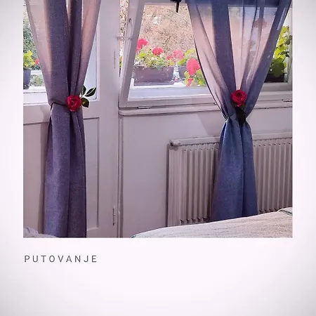 Flowers * Tuzla